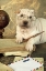 Picture of I LL WRITE YOU