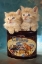 Picture of KITTENS IN TIN