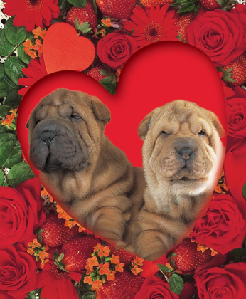 Picture of PUPPIES IN HEART
