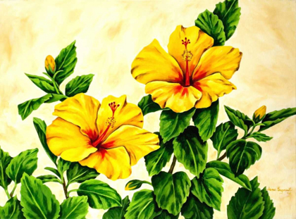 Picture of YELLOW HIBISCUS