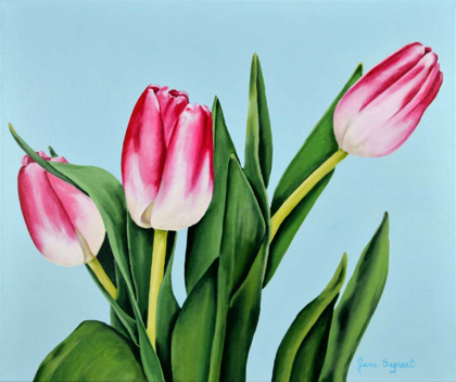 Picture of SPRING TULIPS