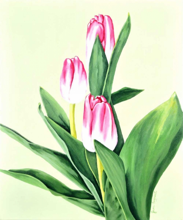 Picture of THREE TULIPS