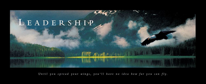 Picture of LEADERSHIP - EAGLE