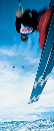 Picture of SOAR - SKIER