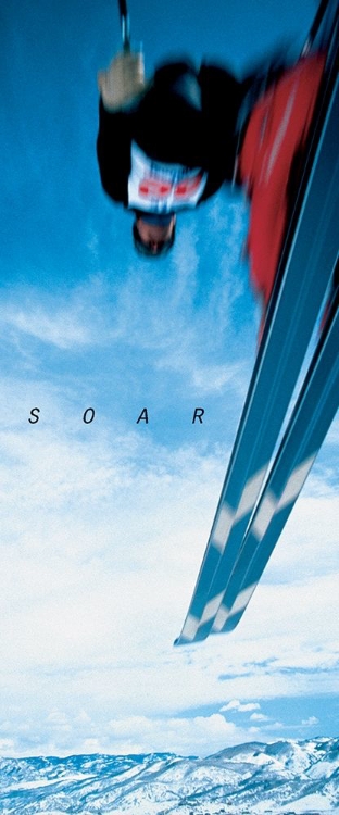 Picture of SOAR - SKIER
