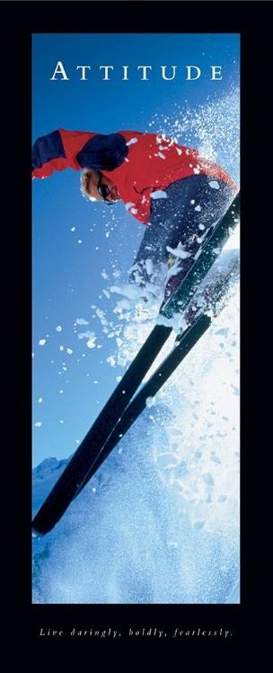 Picture of ATTITUDE - SKIER