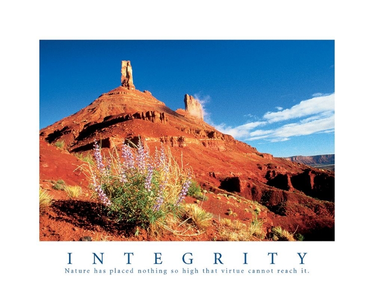 Picture of INTEGRITY - NATIURE