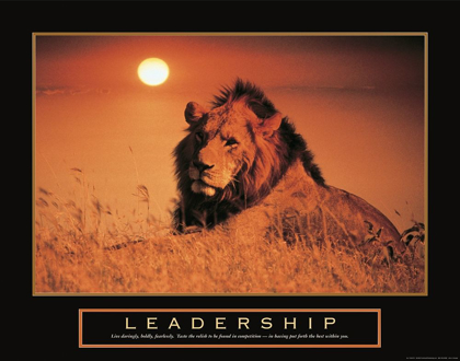 Picture of LEADERSHIP - LION
