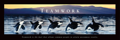Picture of TEAMWORK - WHALES