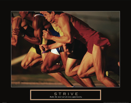 Picture of STRIVE - TRACK RACE