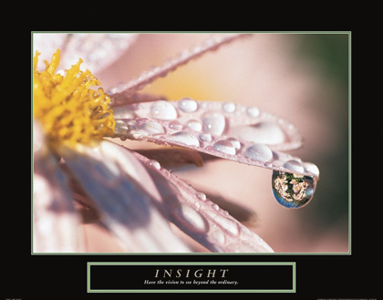 Picture of INSIGHT - DEWDROP
