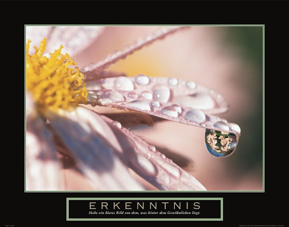 Picture of ERKENNTNIS