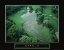 Picture of ERFOLG - GOLF