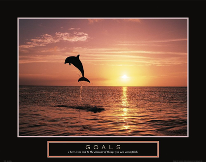 Picture of GOALS - DOLPHIN