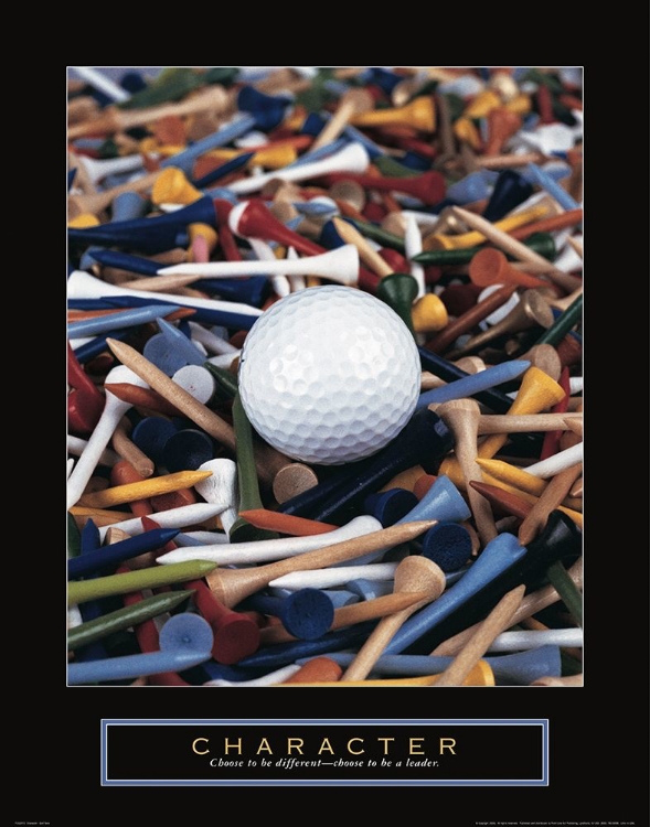 Picture of CHARACTER - GOLF TEES