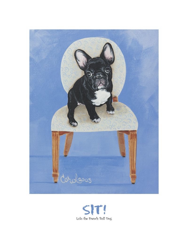 Picture of FRENCH BULL DOG SITTING