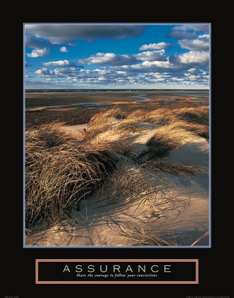 Picture of ASSURANCE - BEACH GRASS