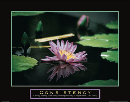 Picture of CONSISTENCY - POND FLOWER