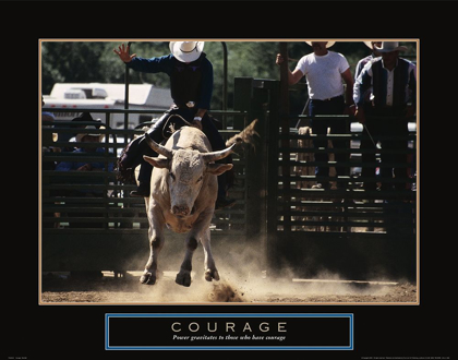 Picture of COURAGE - BULL RIDER