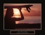 Picture of VISION - FEMALE SURFER