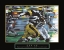 Picture of STRIVE - FOOTBALL