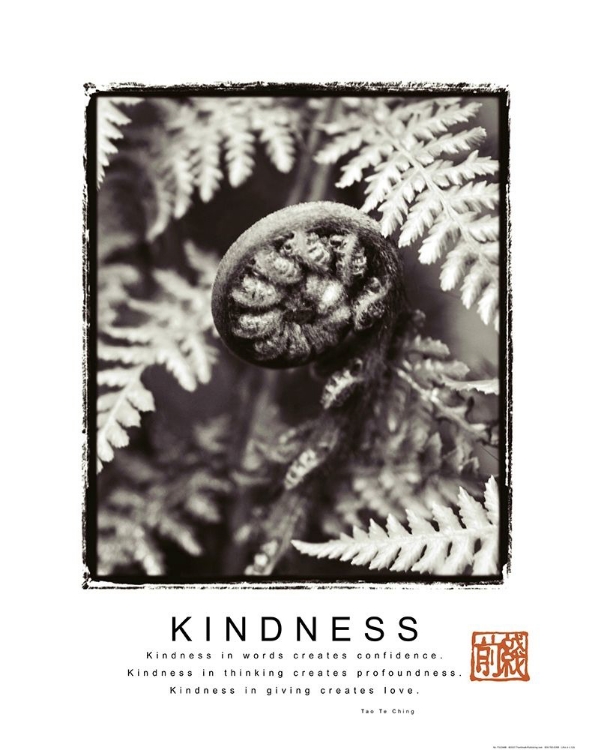 Picture of KINDNESS - FIDDLEHEAD