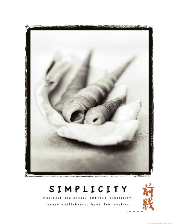 Picture of SIMPLICITY - SHELLS