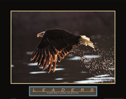 Picture of LEADERS - EAGLE