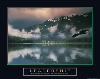 Picture of LEADERSHIP - EAGLE