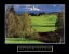 Picture of DETERMINATION - GOLF