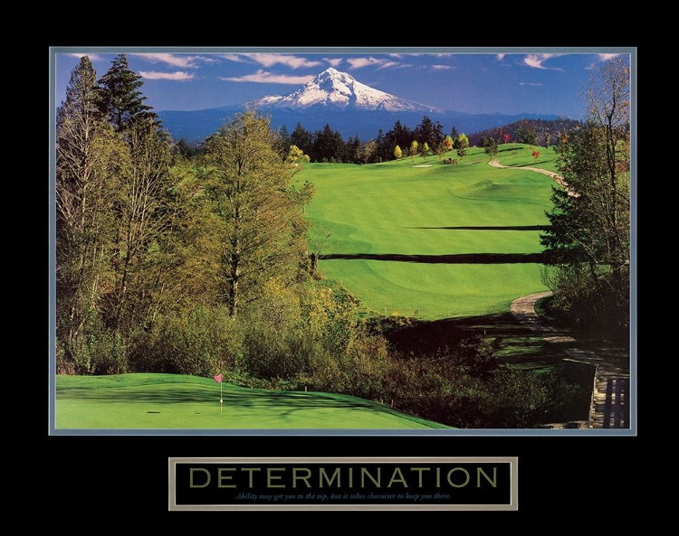 Picture of DETERMINATION - GOLF