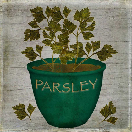 Picture of HERB PARSLEY