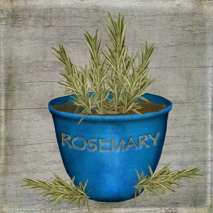 Picture of HERB ROSEMARY