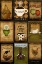Picture of KITCHEN TILES