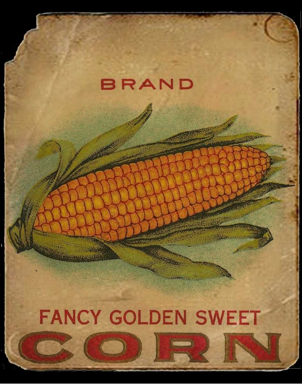 Picture of VINTAGE CORN
