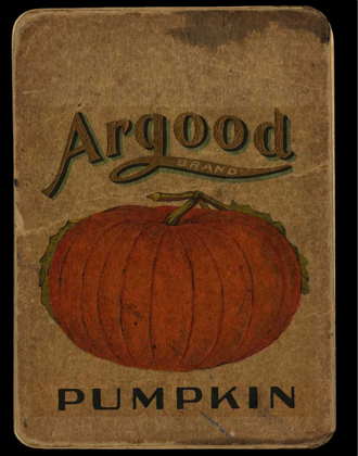 Picture of VINTAGE PUMPKIN