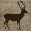 Picture of DEER