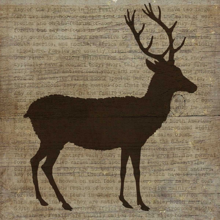 Picture of DEER