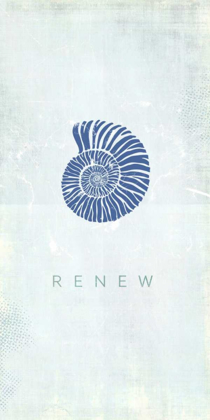 Picture of SEASHELL RENEW