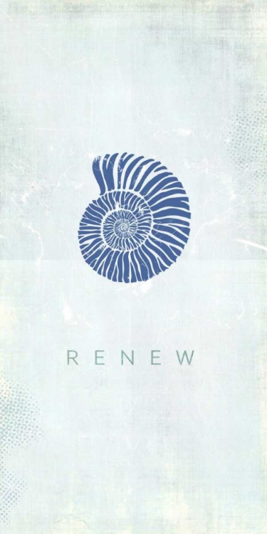 Picture of SEASHELL RENEW