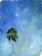 Picture of PALM