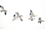 Picture of FLYING FLOCK