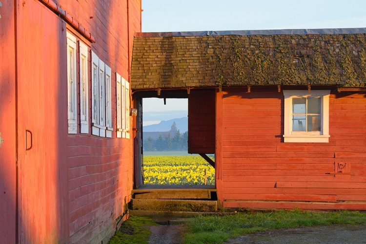 Picture of BARN DOOR VIEW