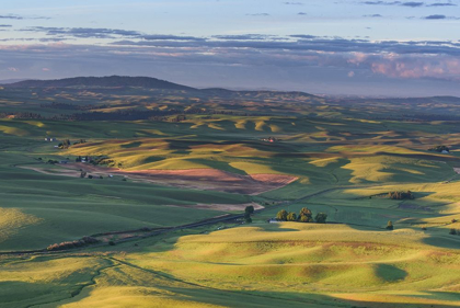 Picture of GREEN VALLEY