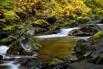 Picture of FALL CREEK