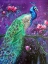 Picture of BOTANICAL PEACOCK 1