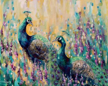 Picture of PEACOCKS IN THE FIELD 1