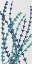 Picture of DENIM FOLIA II