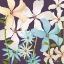 Picture of BLACKBERRY POSIES 2