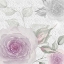 Picture of BLUSH ROSE I